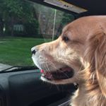 Profile Picture of Eric Schwab (@ericbschwab) on Instagram