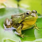 Profile Picture of David Šupowský (@David-Šupowský) on Facebook