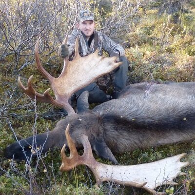 Profile Picture of Daniel Plourde (@DP_in_TN) on Twitter