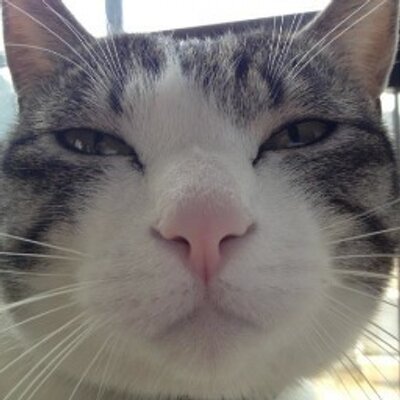 Profile Picture of Leo Liu (@sghgjeqtal) on Twitter