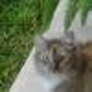 Profile Picture of Donna Muth (@379951702) on Myspace