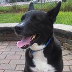 Profile Picture of John Orme (@john.orme) on Instagram