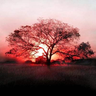 Profile Picture of Isaiah Peter Booyse (@IBooyse) on Twitter