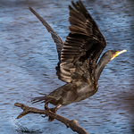 Frankie Van Damme - Flickr Profile Picture of Frankie Van Damme (@frankievandamme) on Flickr