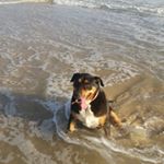 Profile Picture of Peter Whalen (@peter.whalen) on Instagram