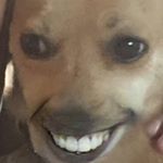 Profile Picture of Aperson (@connerlamb123) on Instagram