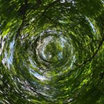 Profile Picture of Michael Schuster (@michaelschusterphotography) on Instagram