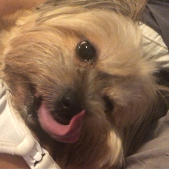 Profile Picture of Raquel Silva (@ramasi84) on Poshmark