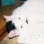Profile Picture of alex.pin.o (@alex.pin.o) on Instagram