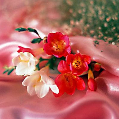 Profile Picture of Kim Wain (@wain_kim) on Twitter