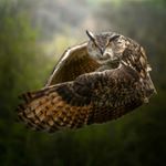 Profile Picture of drewdaviesphotography (@drewdaviesphotography) on Instagram