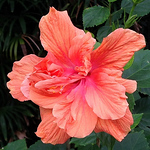 Profile Picture of Audrey's Adventures In Photography (@audrey's adventures in photography) on Flickr