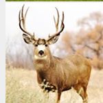 Profile Picture of 🏀 Toby Hutson 🏀 (@toby_hutson9) on Instagram