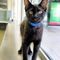 Profile Picture of Jeffrey LeCat (@jeffrey.lecat) on Facebook