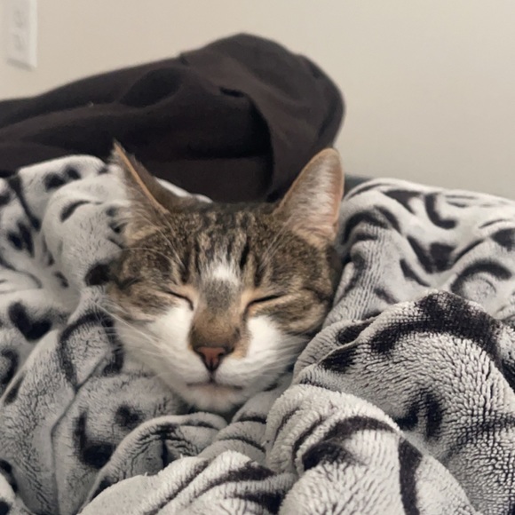 Lance Enox - Poshmark Profile Picture of Lance Enox (@lanceenox) on Poshmark