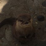 Profile Picture of Dara Watson (@darawatson07) on Instagram