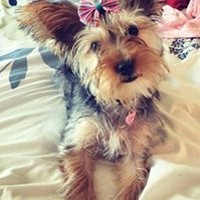 Profile Picture of Seth Murphy (@seth-murphy-14) on Quora