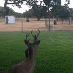 Quentin Baker - Instagram Profile Picture of Quentin Baker (@quentin_baker44) on Instagram