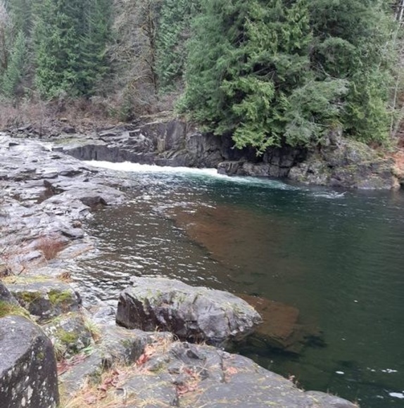 Profile Picture of Gabriel Hiltermann (@ghiltermann) on Poshmark