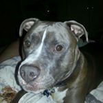 Profile Picture of Robert Stiller (@robert_stiller) on Instagram