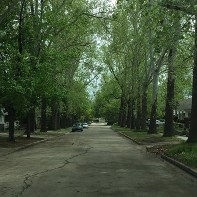 Profile Picture of Shaun (@ShaunBlagg) on Twitter