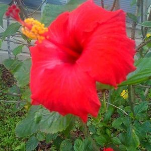 Profile Picture of Kristina Blanco (@392687686) on Myspace