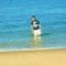 Profile Picture of Ray Rahman (@Ray-Rahman) on Facebook