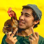 Profile Picture of Benjadoes (@benjamindoigespinoza) on Instagram