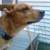 Profile Picture of Michael Mazzariello (@michaelmazzariello5764) on Youtube