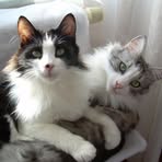 Steven Meininger - Facebook Profile Picture of Steven Meininger (@Steven-Meininger) on Facebook