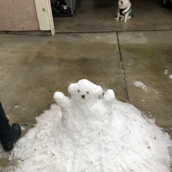 Profile Picture of Steveo Moe (@bigsteveo916) on Poshmark