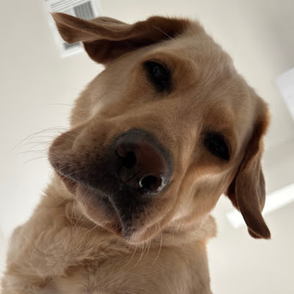 Kaitlyn Omohundro - Poshmark Profile Picture of Kaitlyn Omohundro (@knomohundro) on Poshmark