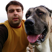 Profile Picture of Babak Alizadeh (@babakalizadeh3822) on Youtube