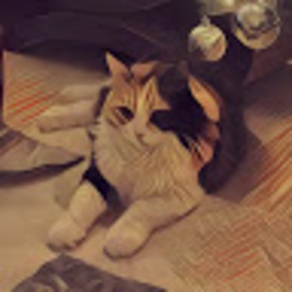 Profile Picture of Richard Tseng (@rtseng) on Poshmark