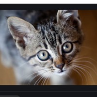 Profile Picture of Josephine Sanchez (@josephine-sanchez-29) on Quora