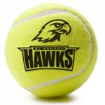 Profile Picture of El Dorado Hawks Tennis (@edhstennis) on Instagram