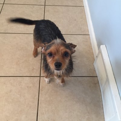 Profile Picture of John Terry (@JohnMartinHaft) on Twitter