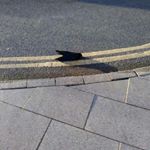 Profile Picture of tristan kennedy (@tristankennedy_) on Instagram