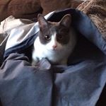 Profile Picture of oliver loewengart (@oli.poppin.highlighter) on Instagram