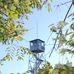 Profile Picture of Wayne Sheeler (@wayne.sheeler) on Facebook