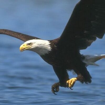Profile Picture of Jimmy Padgett (@jpadgett30281) on Twitter
