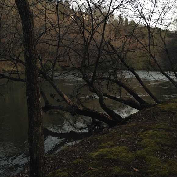 Profile Picture of Deborah Gage (@dudda1) on Poshmark