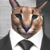 Profile Picture of Petoooh (@bobretop_) on Tiktok