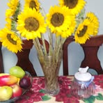 Profile Picture of Doris Carpio (@Doris-Carpio) on Facebook