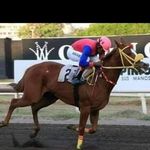 Profile Picture of Ricardo Griffith (@ricardo.griffith) on Instagram