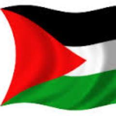 Profile Picture of Yousef Abed Alrahman (@YousefAbed20) on Twitter