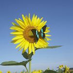 Profile Picture of Shawna Karman (@shawna.kaye) on Instagram