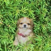 Profile Picture of Andres Moreno (@andres-moreno-46) on Quora