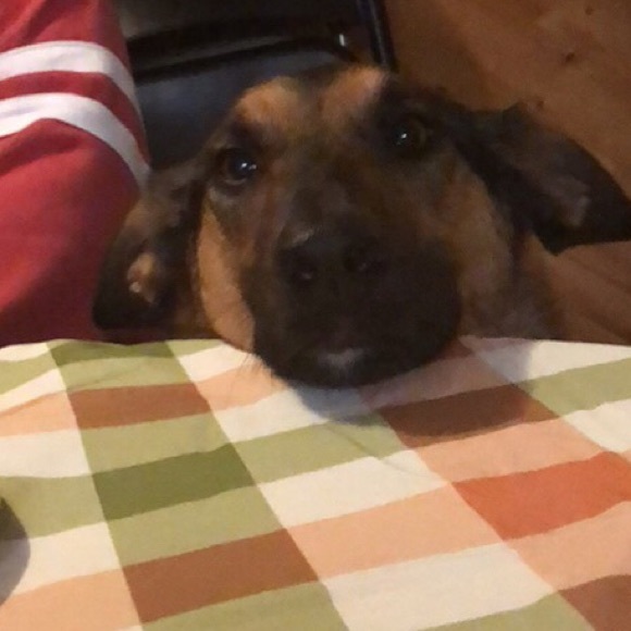 Profile Picture of Ashley Keckler (@akecklerposh18) on Poshmark