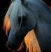 Profile Picture of Dawn Cheree Brandle (@dawn.c.brandle) on Facebook